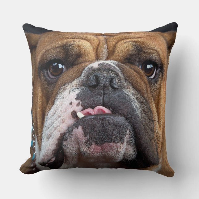 English Bulldog  Throw Pillow (Front)