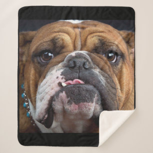 English Bulldog Throw Pillow