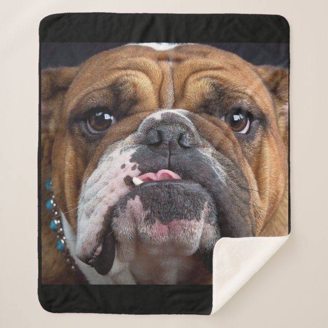 English Bulldog  Throw Pillow (Front)