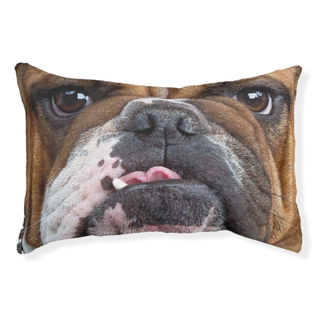 English Bulldog  Throw Pillow (Front)