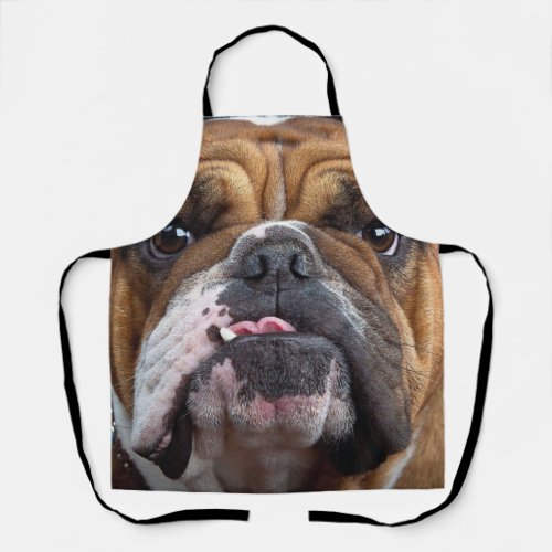 English Bulldog  Throw Pillow Apron