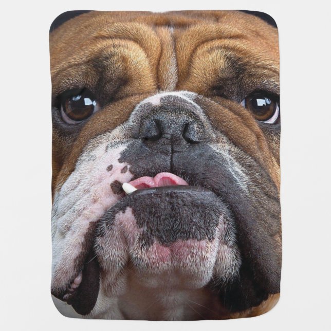 English Bulldog  Throw Pillow Baby Blanket (Front)