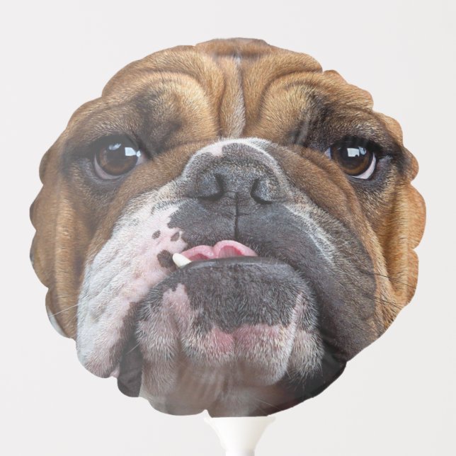English Bulldog  Throw Pillow Balloon (Front)
