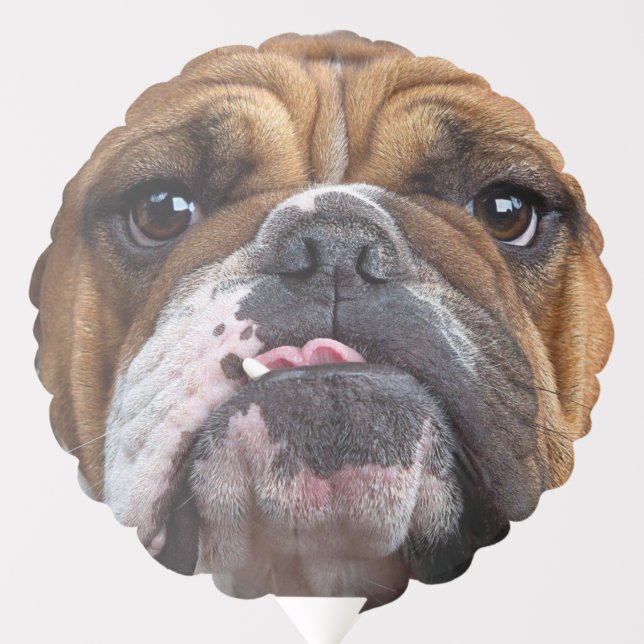 English Bulldog  Throw Pillow Balloon (Front)