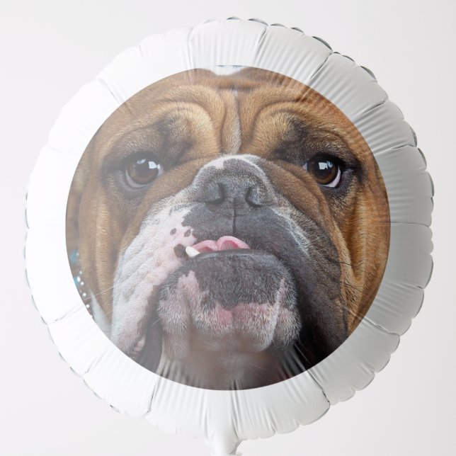 English Bulldog  Throw Pillow Balloon (Front)