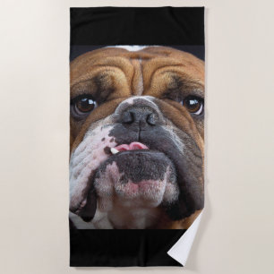 English Bulldog Throw Pillow Beach Towel
