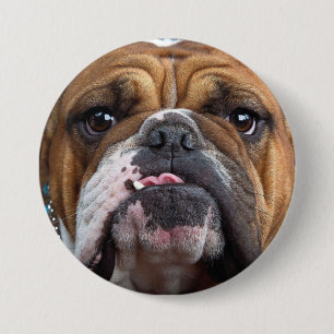 English Bulldog Throw Pillow Button