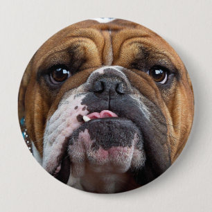 English Bulldog  Throw Pillow Button