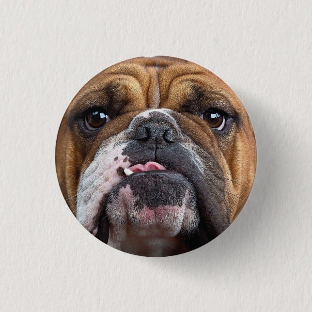 English Bulldog  Throw Pillow Button (Front)