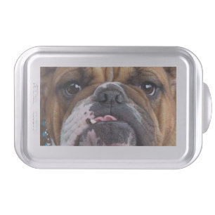 English Bulldog Throw Pillow Cake Pan