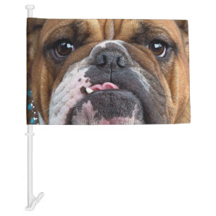 English Bulldog  Throw Pillow Car Flag