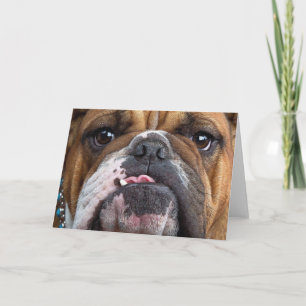 English Bulldog Throw Pillow Card