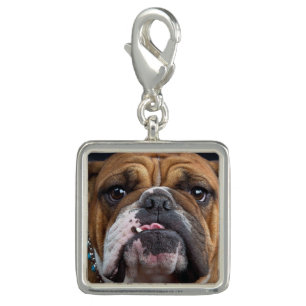 English Bulldog  Throw Pillow Charm