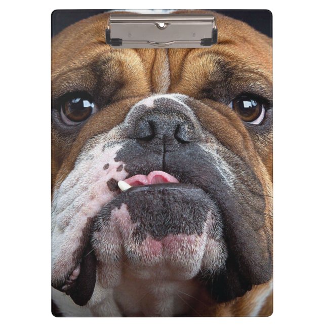 English Bulldog  Throw Pillow Clipboard (Front)