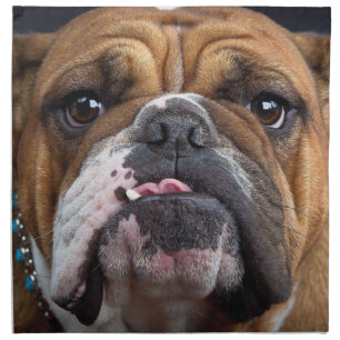 English Bulldog  Throw Pillow Cloth Napkin
