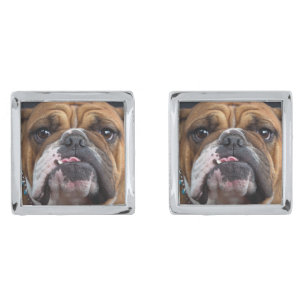 English Bulldog  Throw Pillow Cufflinks