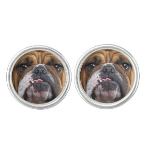 English Bulldog  Throw Pillow Cufflinks