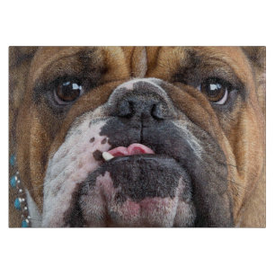 English Bulldog  Throw Pillow Cutting Board