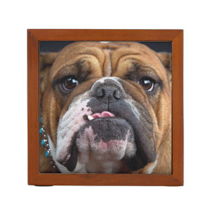 English Bulldog Throw Pillow Desk Organizer