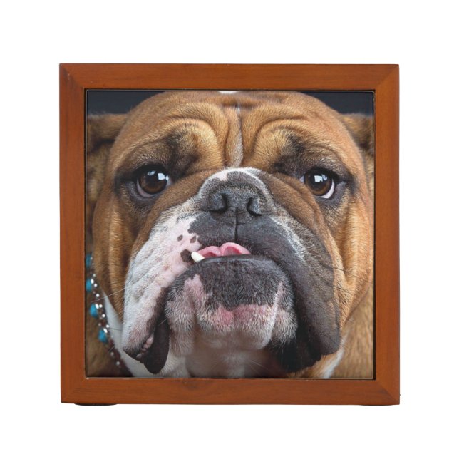English Bulldog  Throw Pillow Desk Organizer (Front)