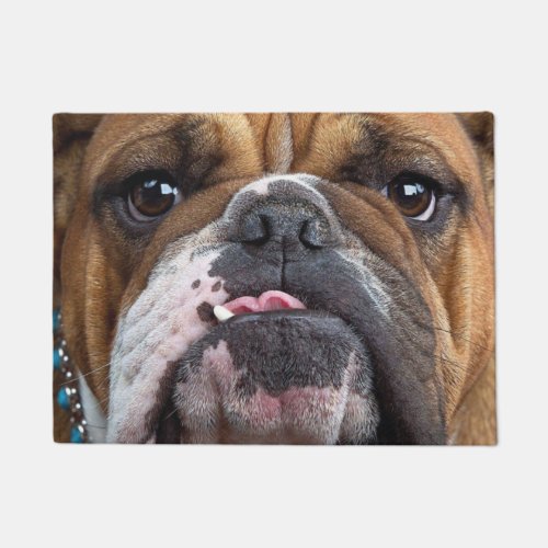 English Bulldog  Throw Pillow Doormat