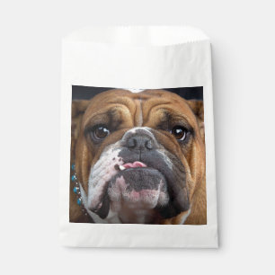 English Bulldog  Throw Pillow Favor Bag