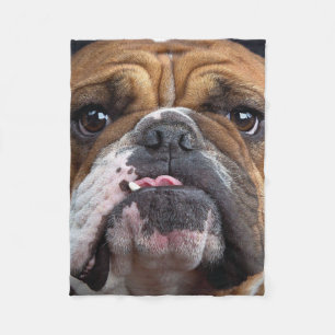 English Bulldog Throw Pillow Fleece Blanket