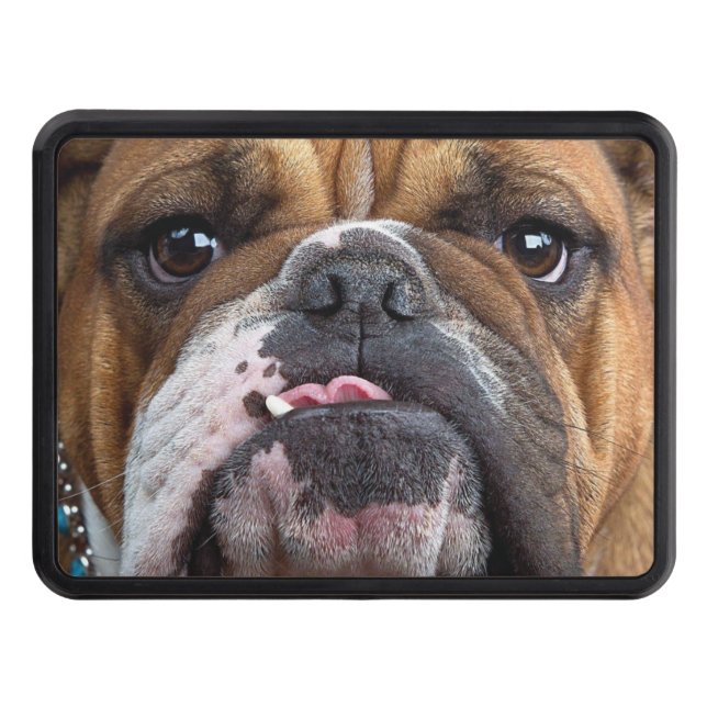 English Bulldog  Throw Pillow Hitch Cover (Front)