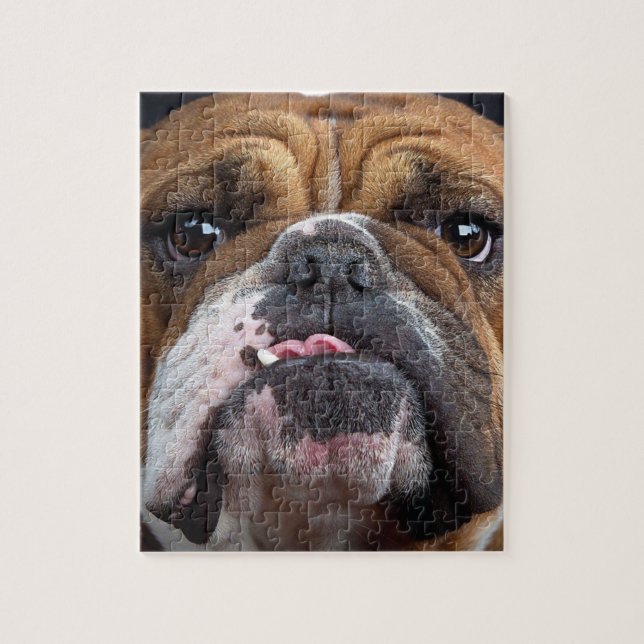 English Bulldog  Throw Pillow Jigsaw Puzzle (Vertical)