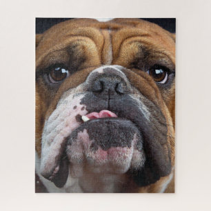 English Bulldog Throw Pillow Jigsaw Puzzle