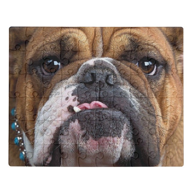 English Bulldog  Throw Pillow Jigsaw Puzzle (Puzzle Horizontal)