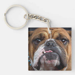English Bulldog Throw Pillow Keychain