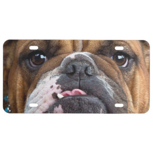English Bulldog  Throw Pillow License Plate