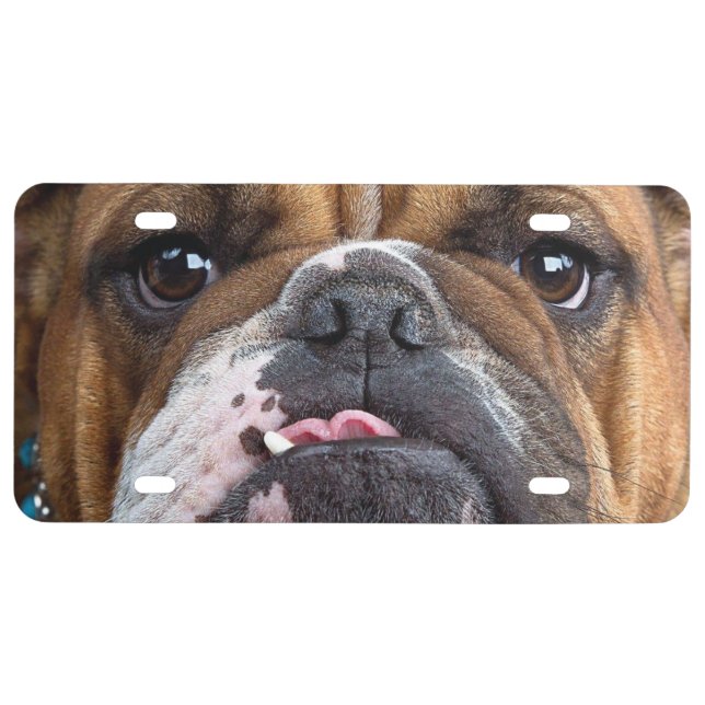 English Bulldog  Throw Pillow License Plate (Front)