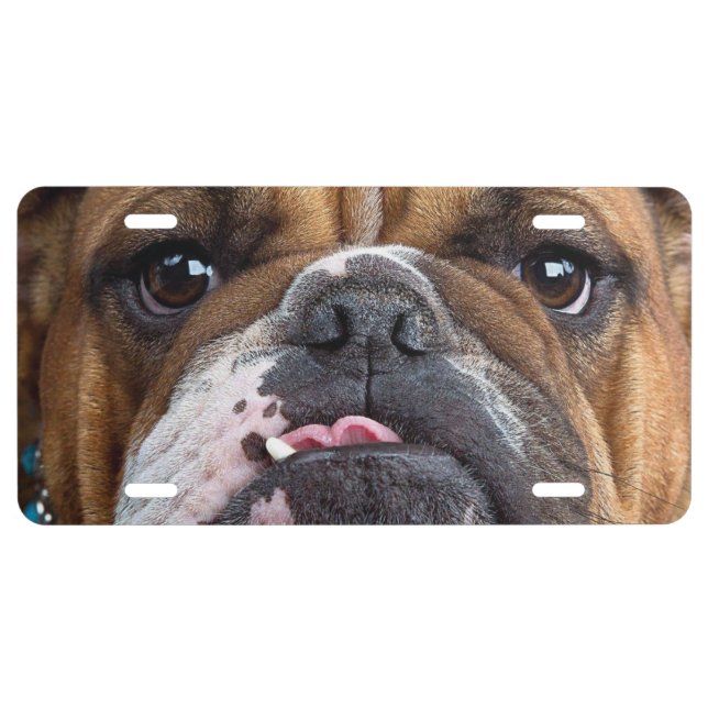 English Bulldog  Throw Pillow License Plate (Front)