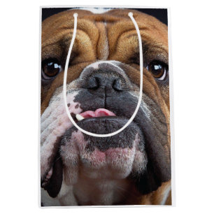 English Bulldog  Throw Pillow Medium Gift Bag