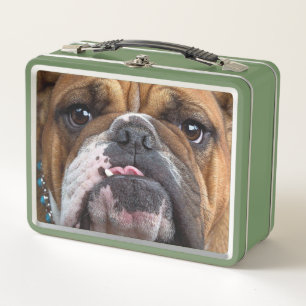 English Bulldog Throw Pillow Metal Lunch Box