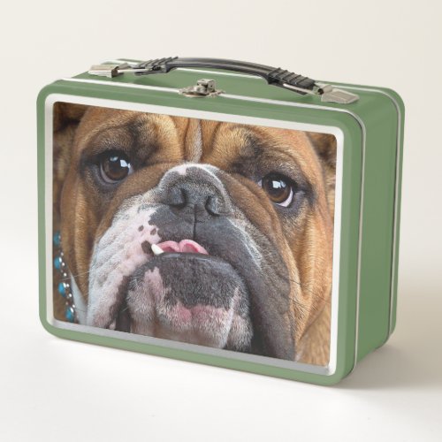English Bulldog  Throw Pillow Metal Lunch Box