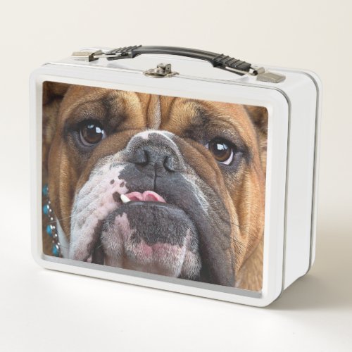 English Bulldog  Throw Pillow Metal Lunch Box