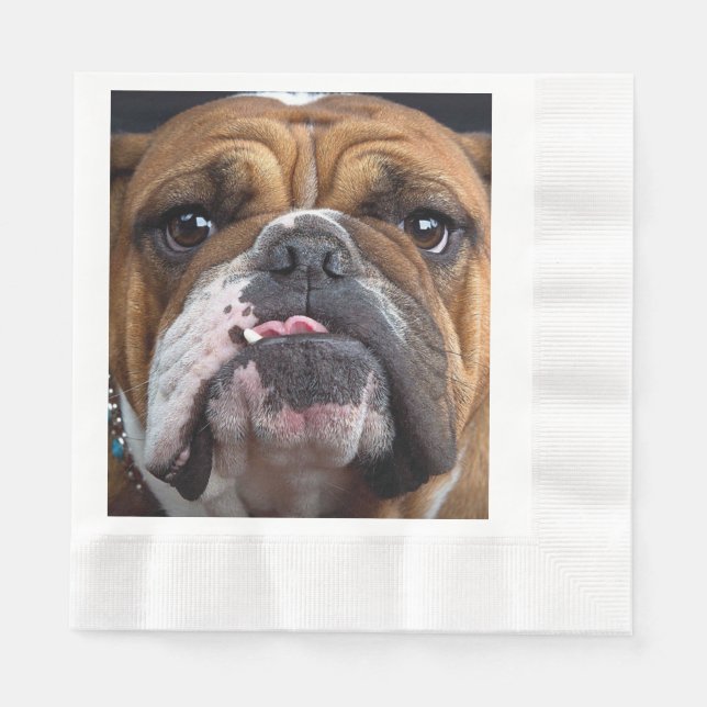 English Bulldog  Throw Pillow Napkins (Front)