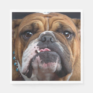 English Bulldog Throw Pillow Napkins