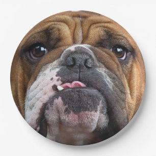 English Bulldog Throw Pillow Paper Plates