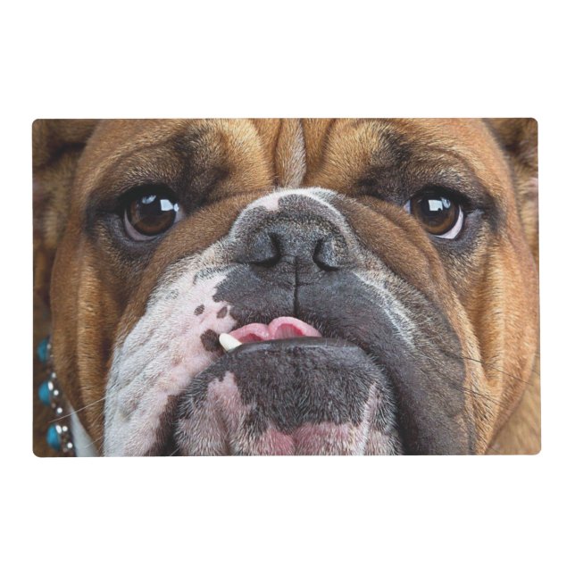 English Bulldog  Throw Pillow Placemat (Front)