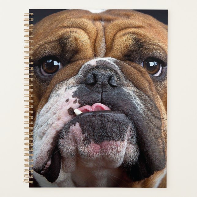 English Bulldog  Throw Pillow Planner (Front)