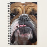 English Bulldog  Throw Pillow Planner<br><div class="desc">English Bulldog</div>