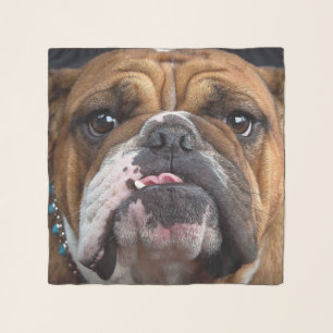 English Bulldog Throw Pillow Scarf