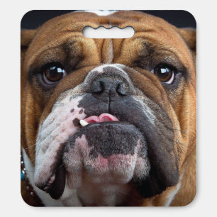 English Bulldog  Throw Pillow Seat Cushion