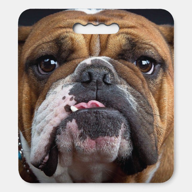 English Bulldog  Throw Pillow Seat Cushion (Front Vertical)