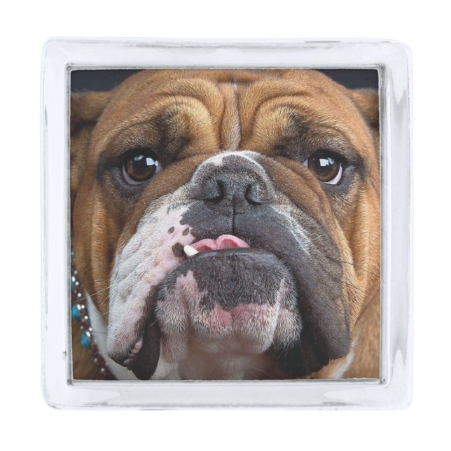 English Bulldog  Throw Pillow Silver Finish Lapel Pin (Front)