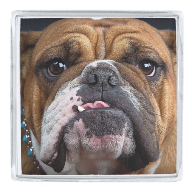 English Bulldog  Throw Pillow Silver Finish Lapel Pin (Front)